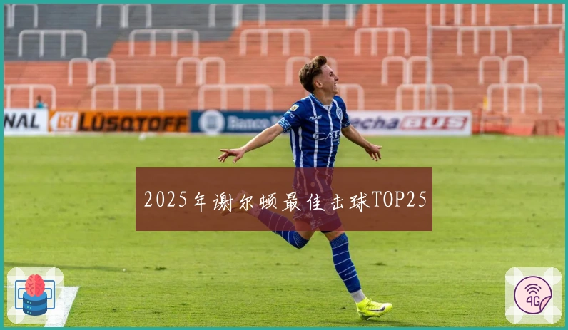 2025年谢尔顿最佳击球TOP25