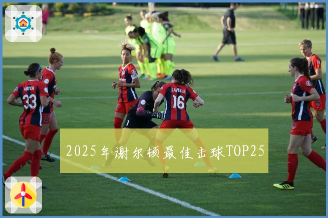 2025年谢尔顿最佳击球TOP25