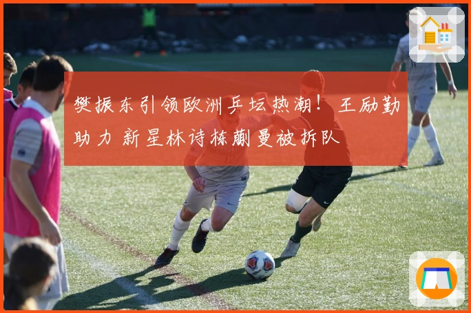 樊振东引领欧洲乒坛热潮！王励勤助力 新星林诗栋蒯曼被拆队