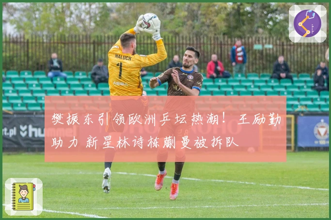 樊振东引领欧洲乒坛热潮！王励勤助力 新星林诗栋蒯曼被拆队